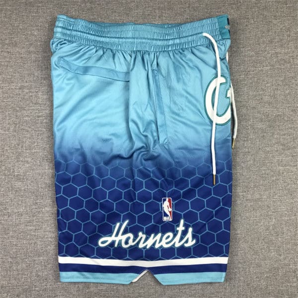 Charlotte Hornets 202122 City Edition Swingman Performance Shorts side 1
