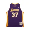 Ron Artest Los Angeles Lakers 2009-10 Purple Swingman Jersey